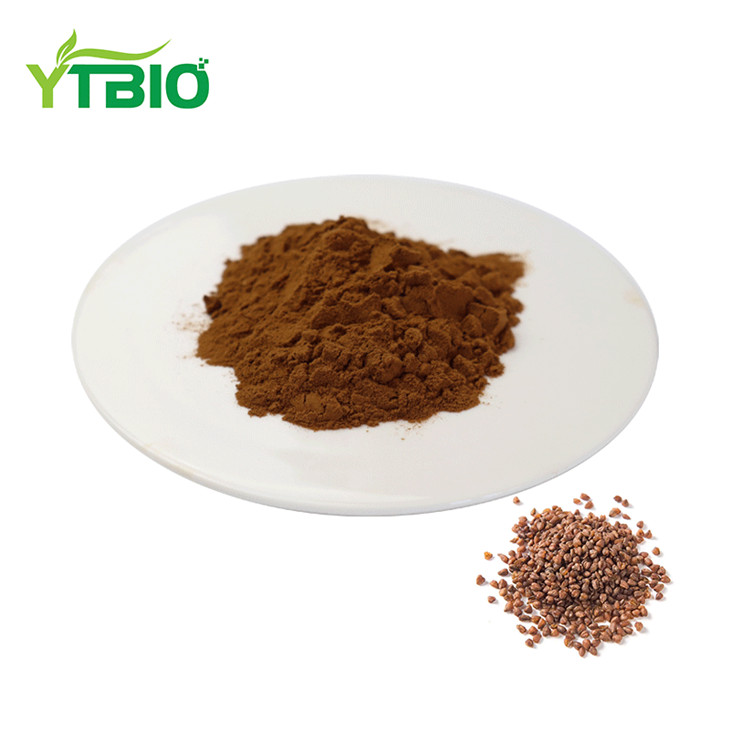 Tartary Buckwheat Extract